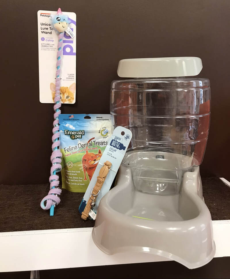 7. Large feeder, dental treats, collar, unicorn wand toy