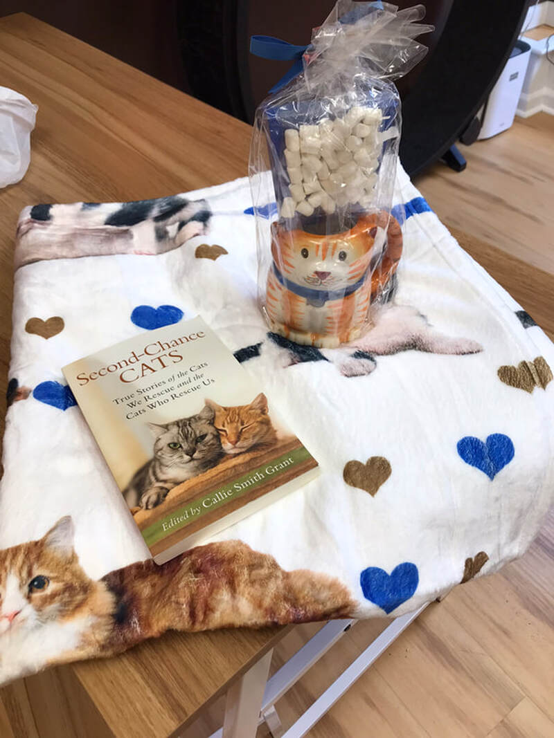 10. Soft fleece blanket, orange cat mug with hot cocoa mix, 
