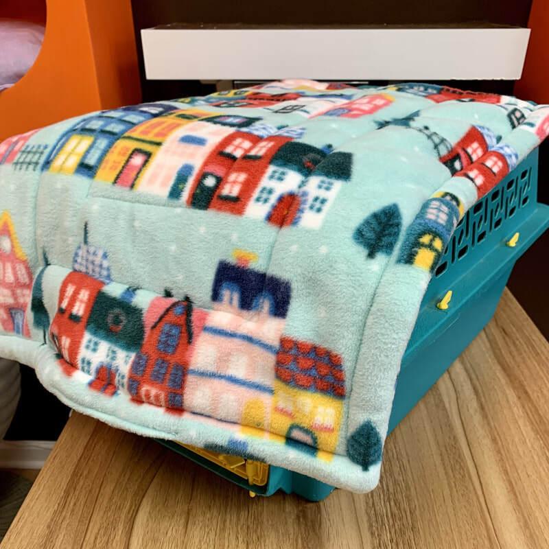 19. Hard blue-green cat carrier with colorful neighborhood cat mat 