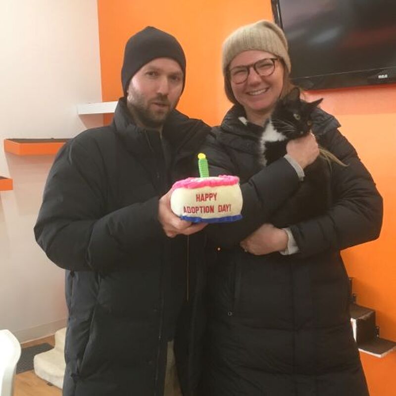 Adoption # 155: Ace