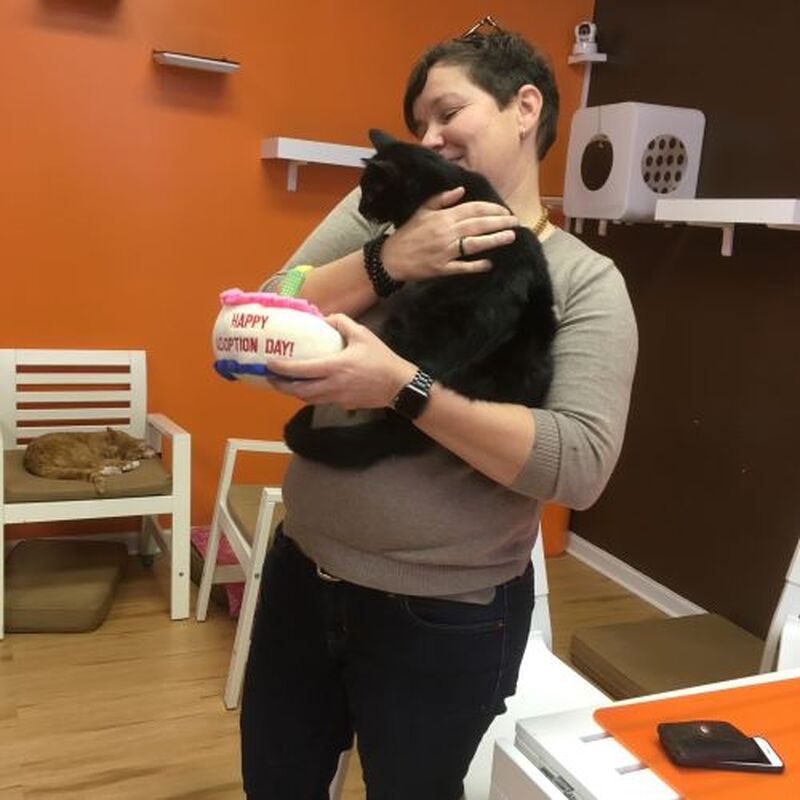 Adoption #99: Allie
