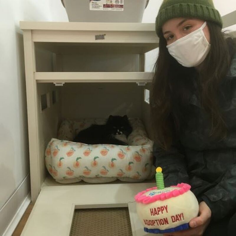 Adoption #226: Amicus