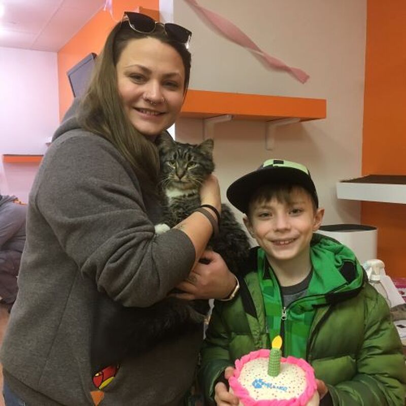 Adoption #146: Annebelle