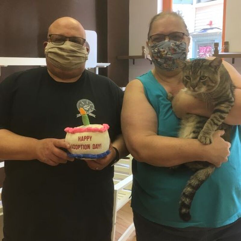 Adoption #165: Anthony