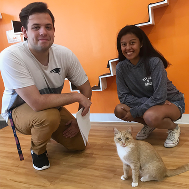 Adoption #64: Avocado