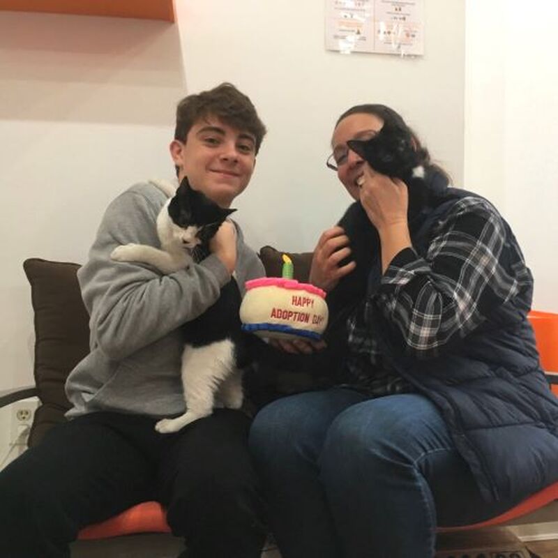 Adoption #122 & #123: Batman & Busy