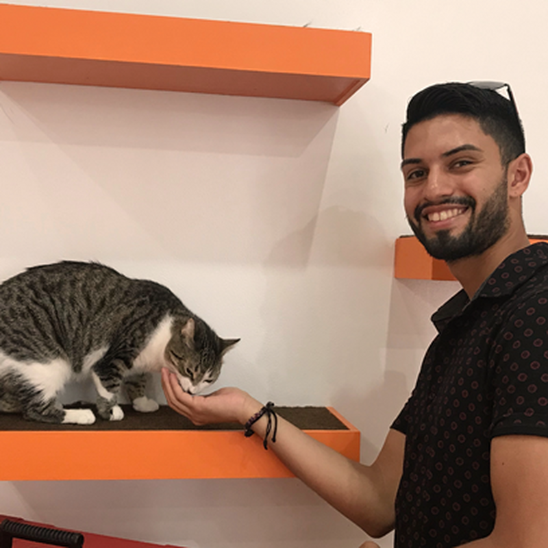 Adoption #61: Bean