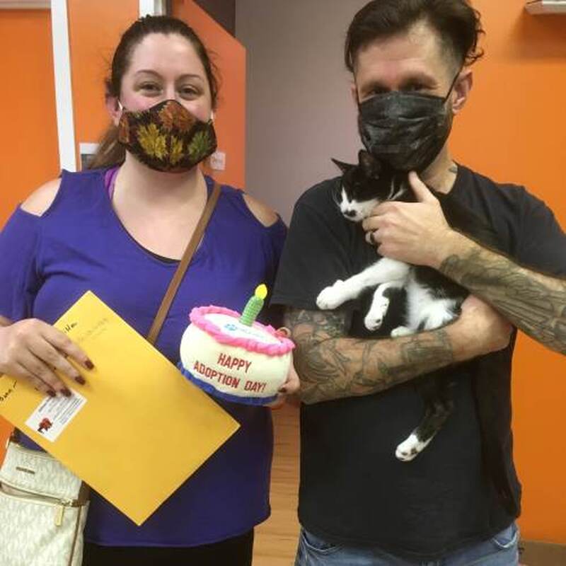 Adoption #195: Bean