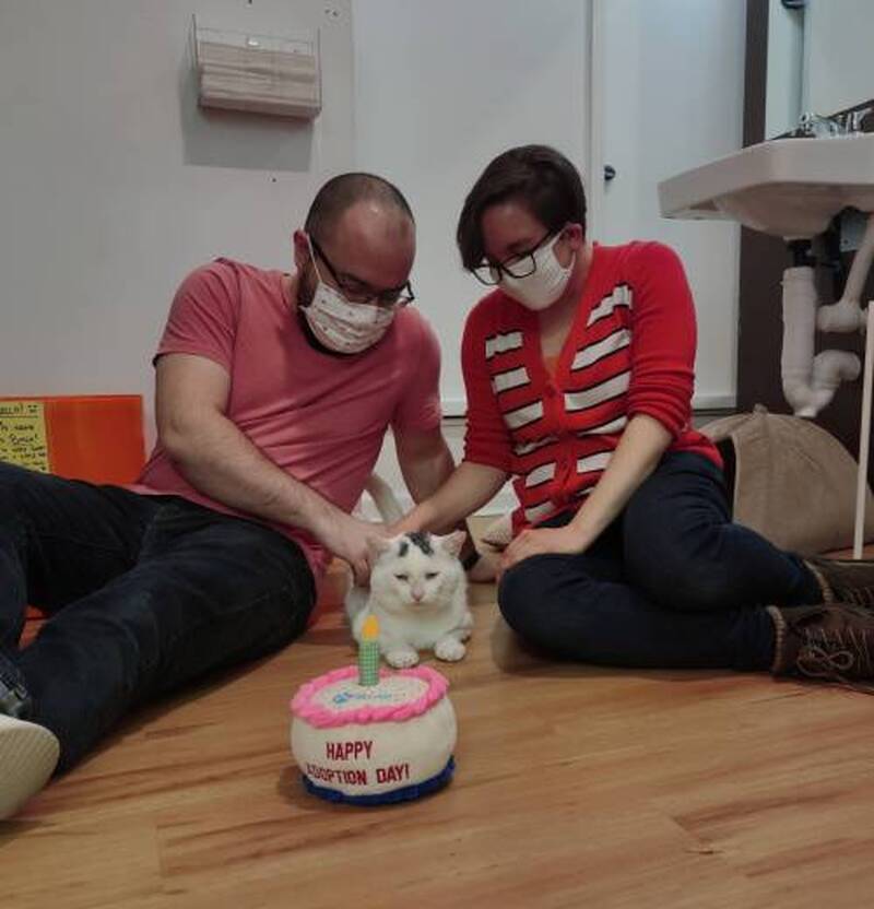 Adoption #198: Birch