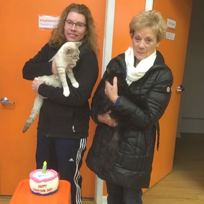 Adoption #100 & #101: Boomer & Hank