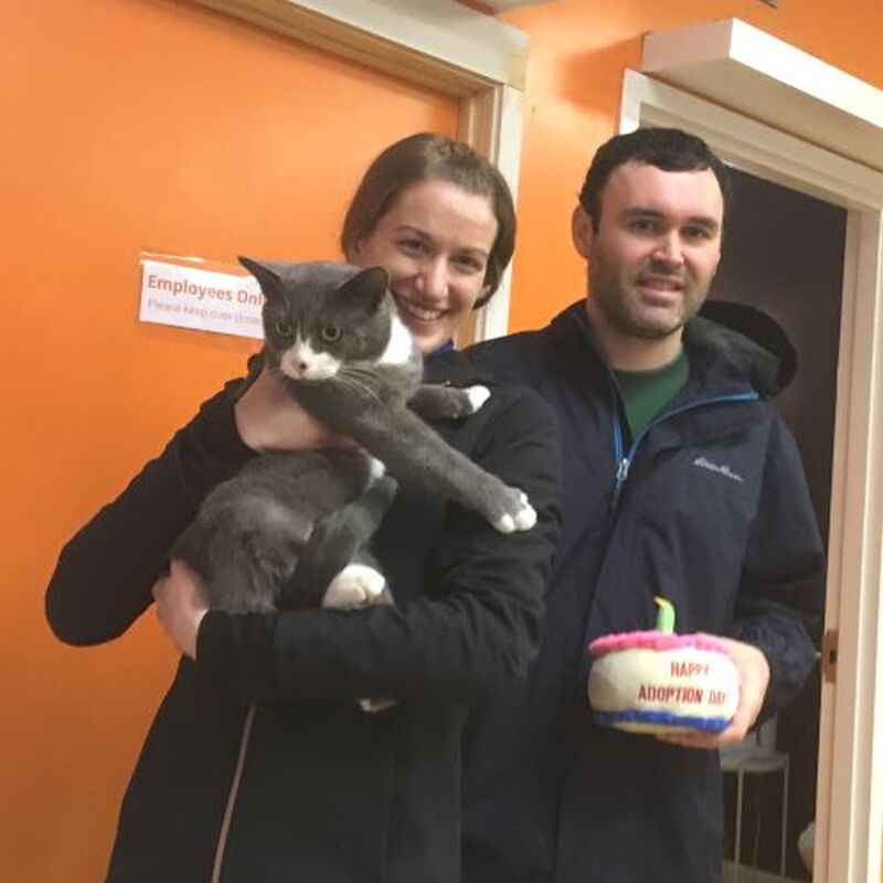 Adoption #137: Buddha