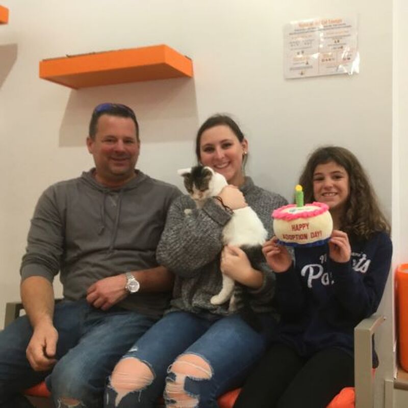 Adoption #125: Catalina