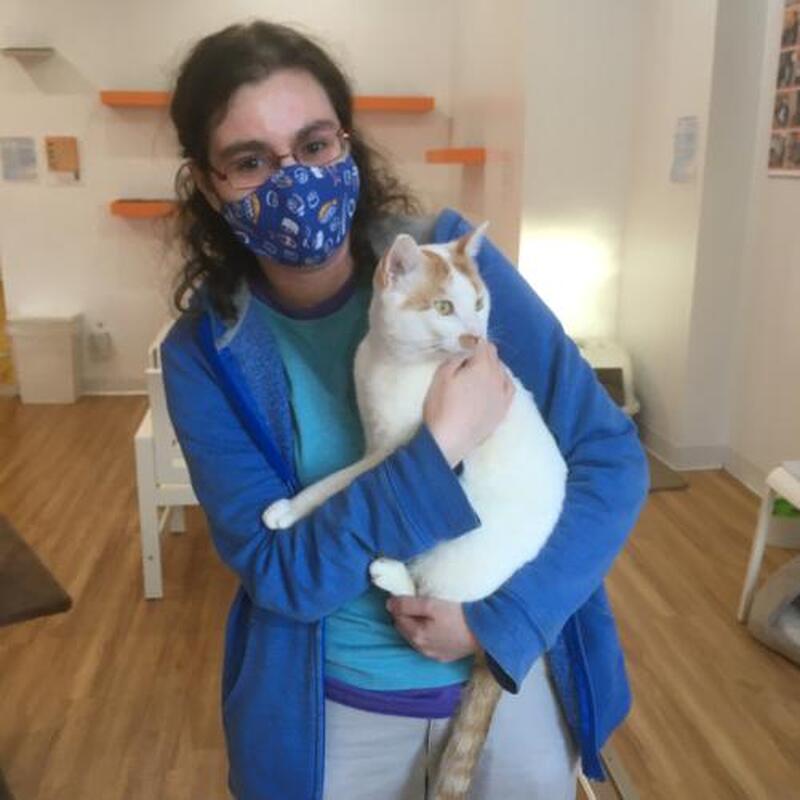 Adoption #196: Catthew