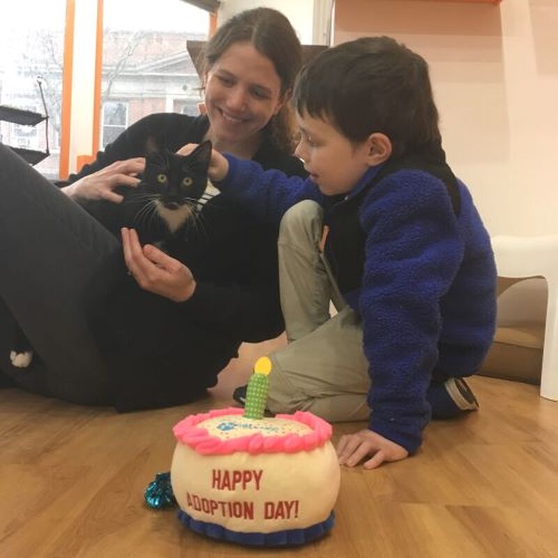Adoption #139: Chin