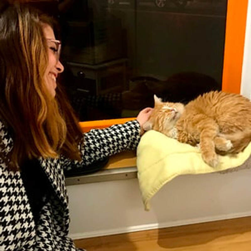 Adoption #73: Clover