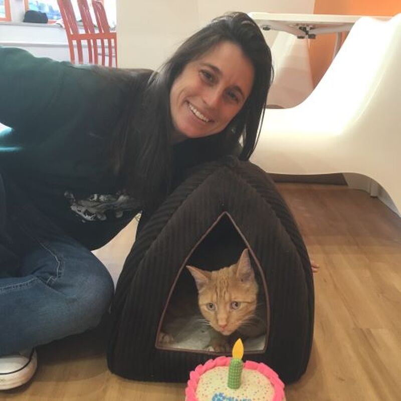 Adoption #144: Clyde