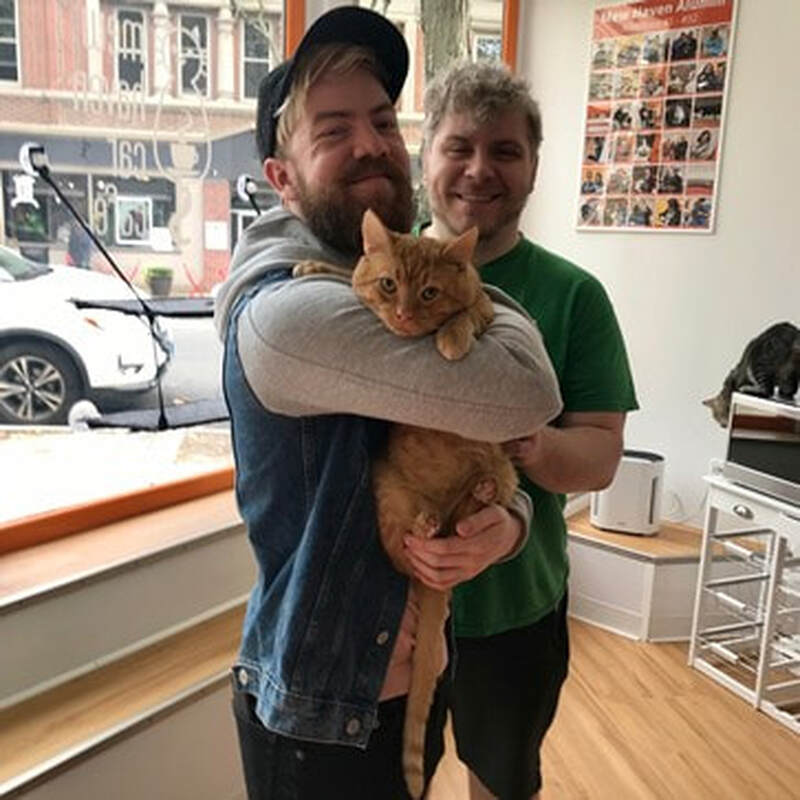 Adoption #68: Dabo