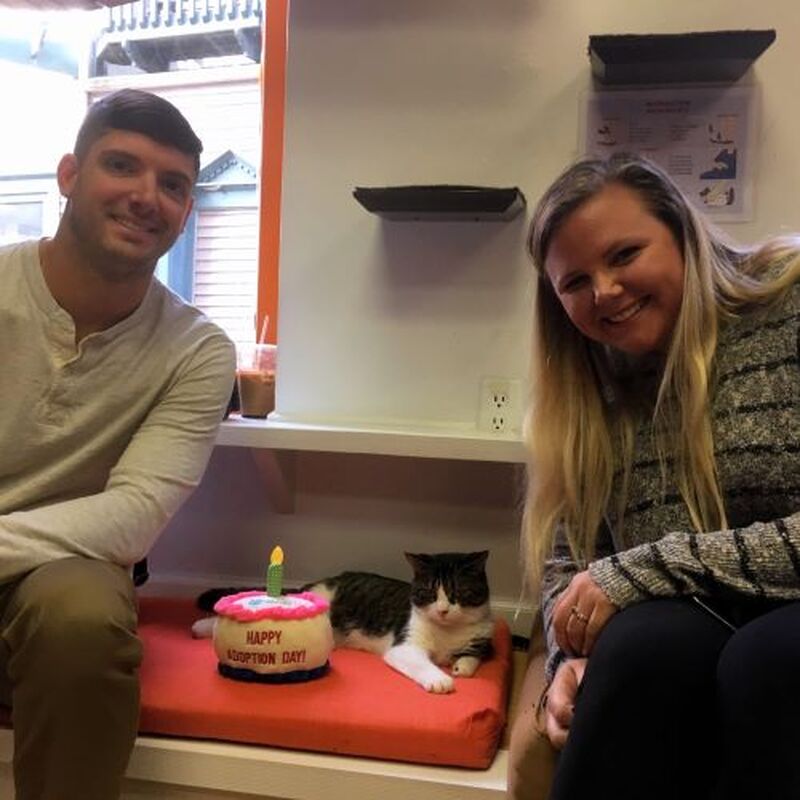Adoption #121: Darby