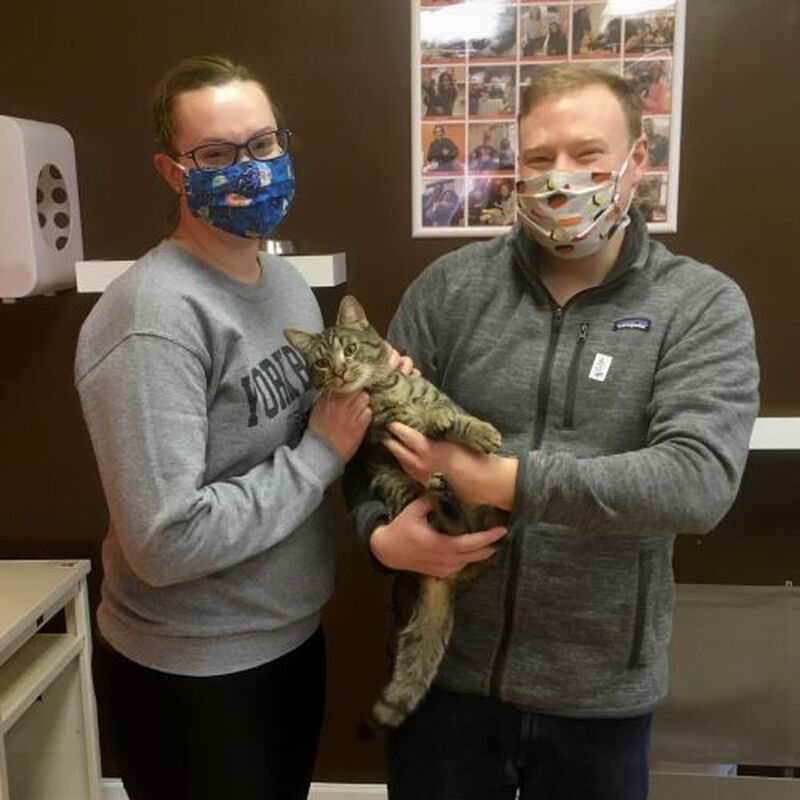 Adoption #228: Davis
