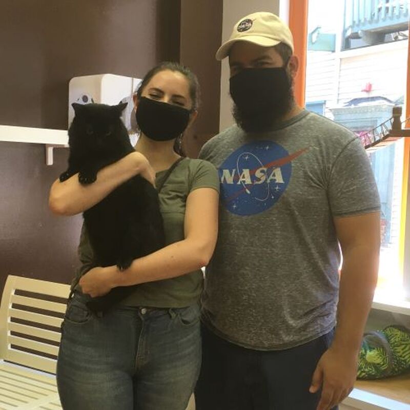 Adoption #164: Dr. Watson