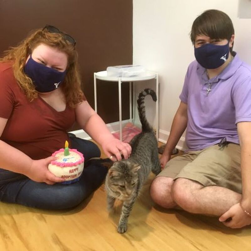 Adoption #171: Dumbledore