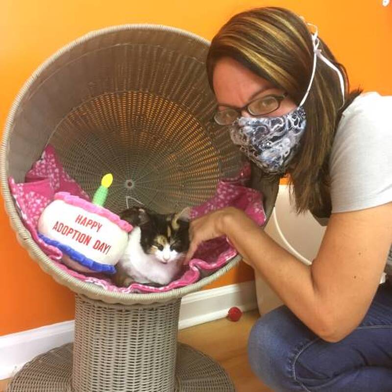 Adoption #176: Fiona