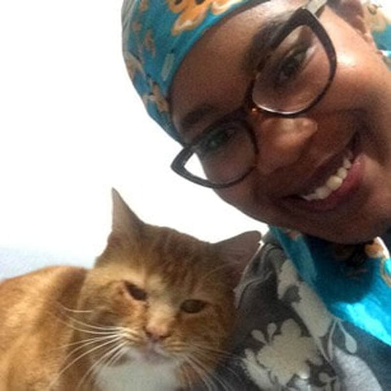 Adoption #72: Franklin