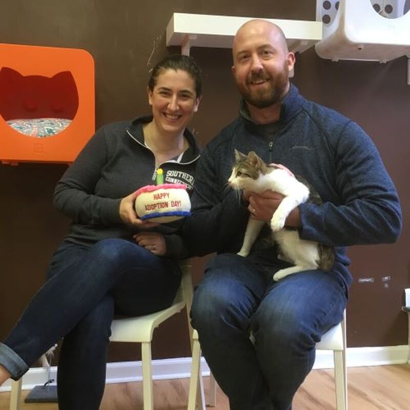 Adoption #143: Frederick