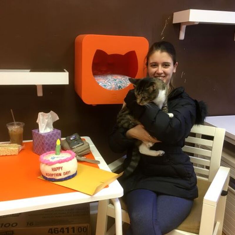 Adoption #162: Frisco