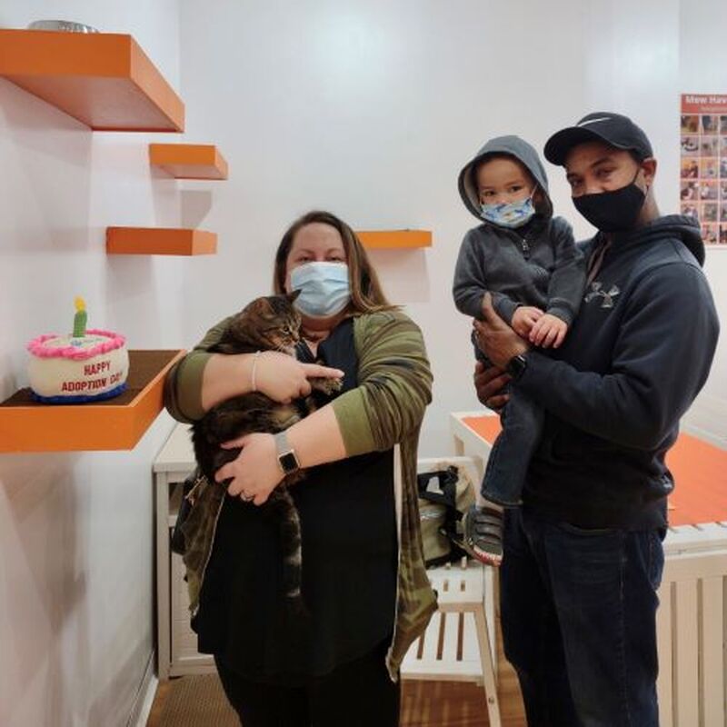 Adoption #229: Gabby