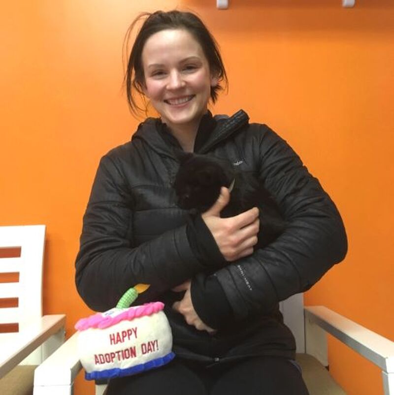 Adoption #87: Glenda