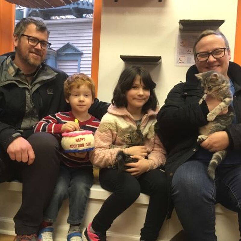Adoptions #112-#113: Gucci & Gordan