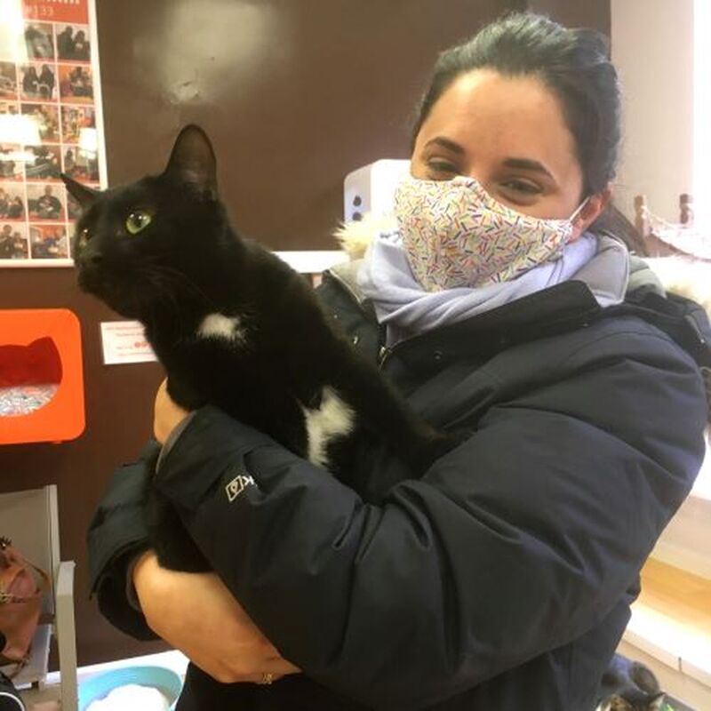 Adoption #222: Harold