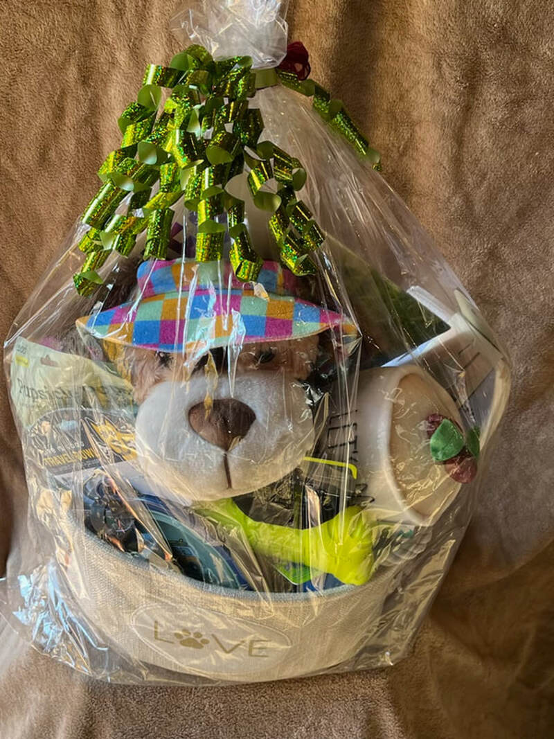 Raffle prize #3: Basket of dog goodies