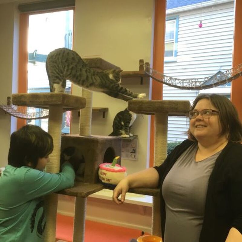 Adoptions #149-#150: Jack & Jill