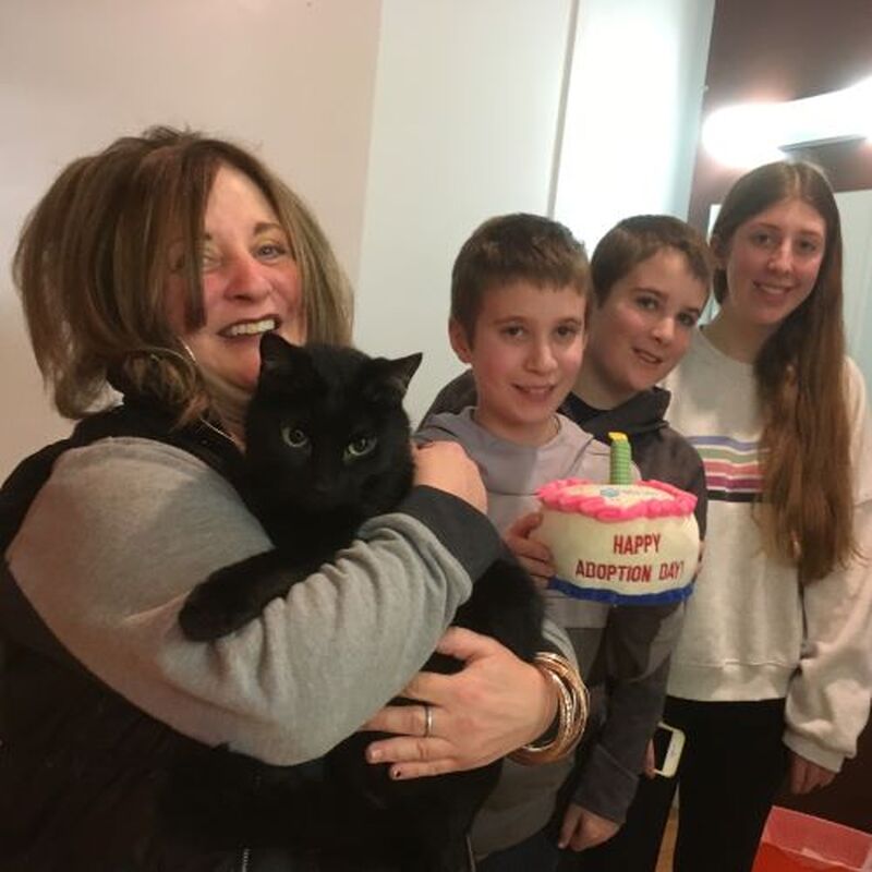 Adoption #127: Jeffrey
