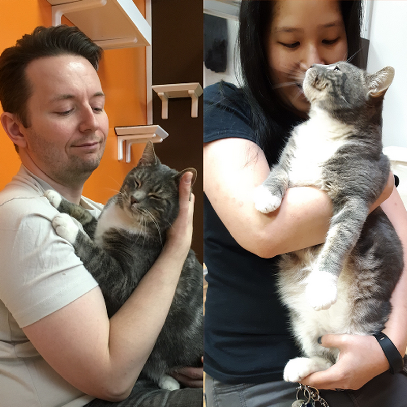 Adoption #52: Joel