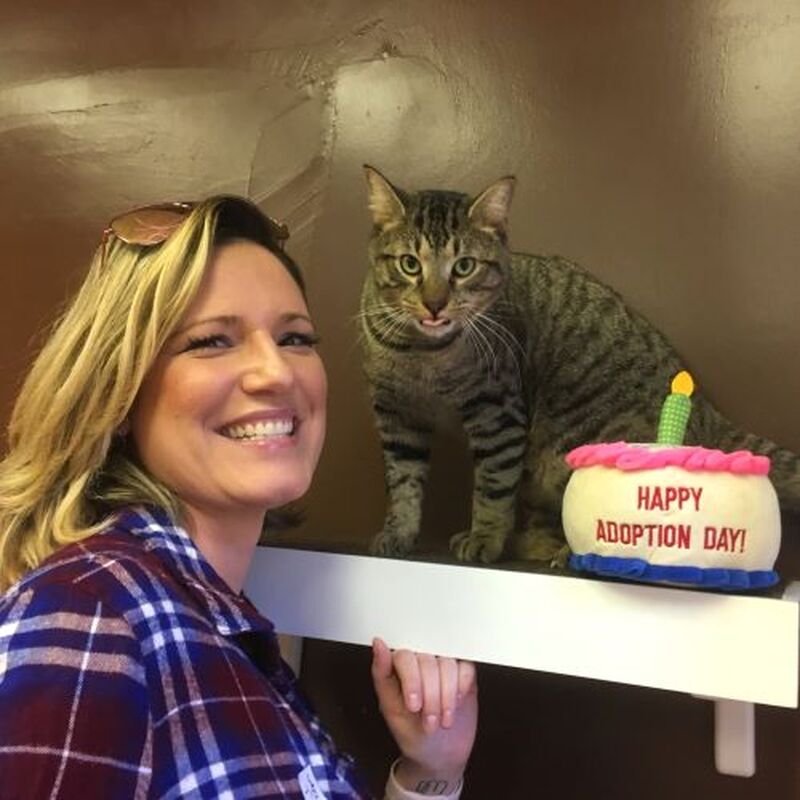 Adoption #124: Johnny