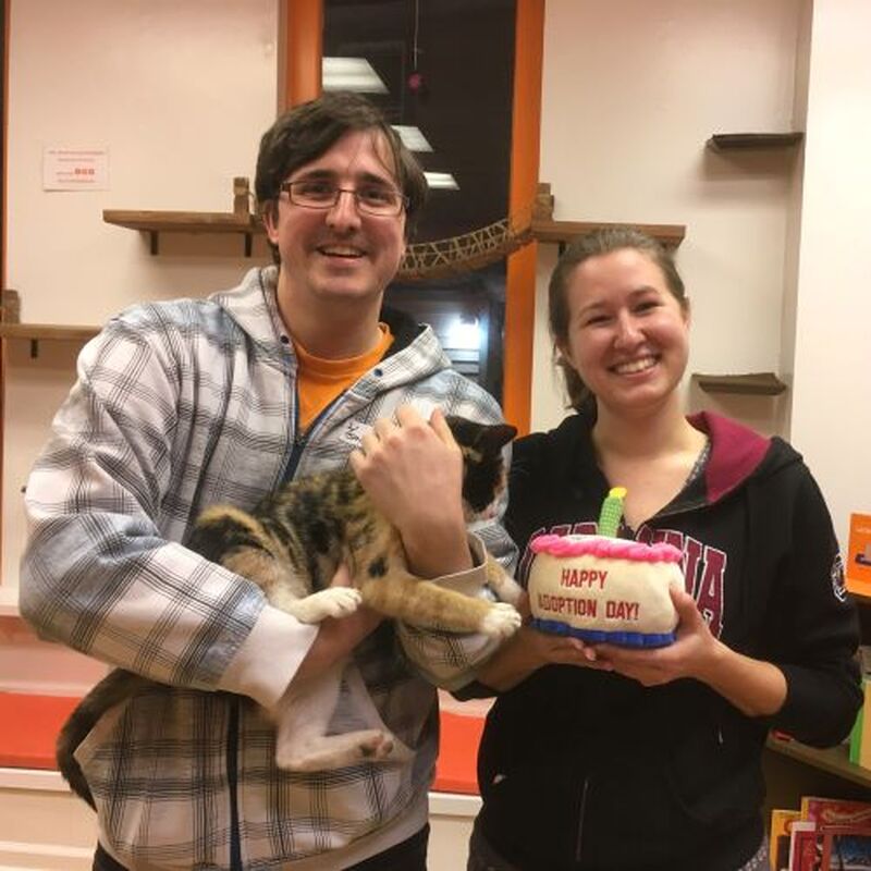 Adoption #130: Kara
