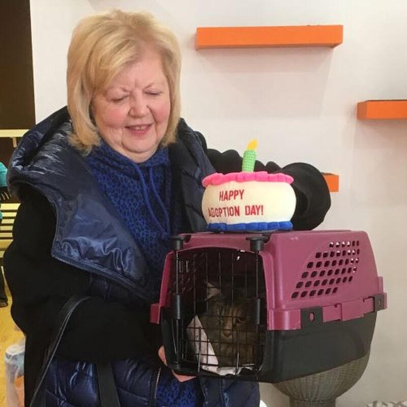 Adoption #97: Lady