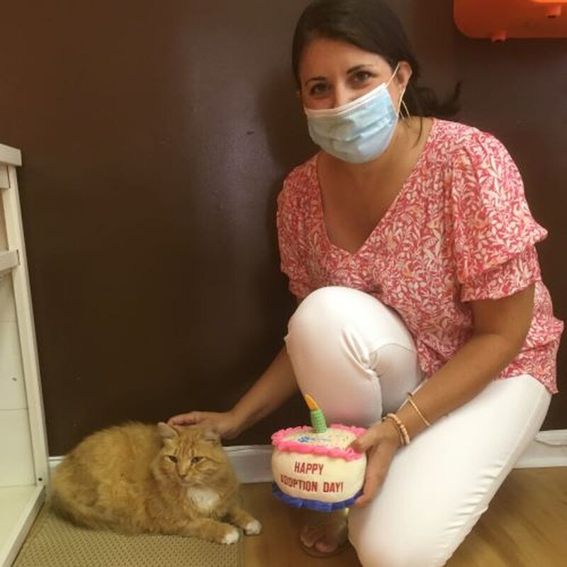 Adoption #166: Leo