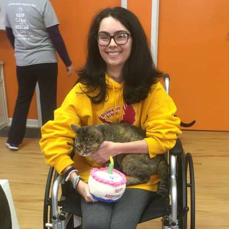 Adoption #154: Lily