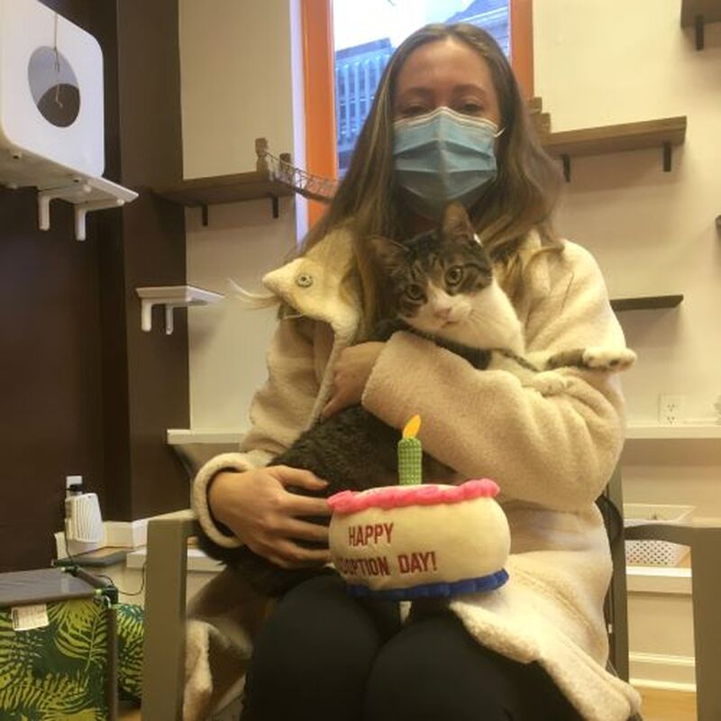 Adoption #225: Louie