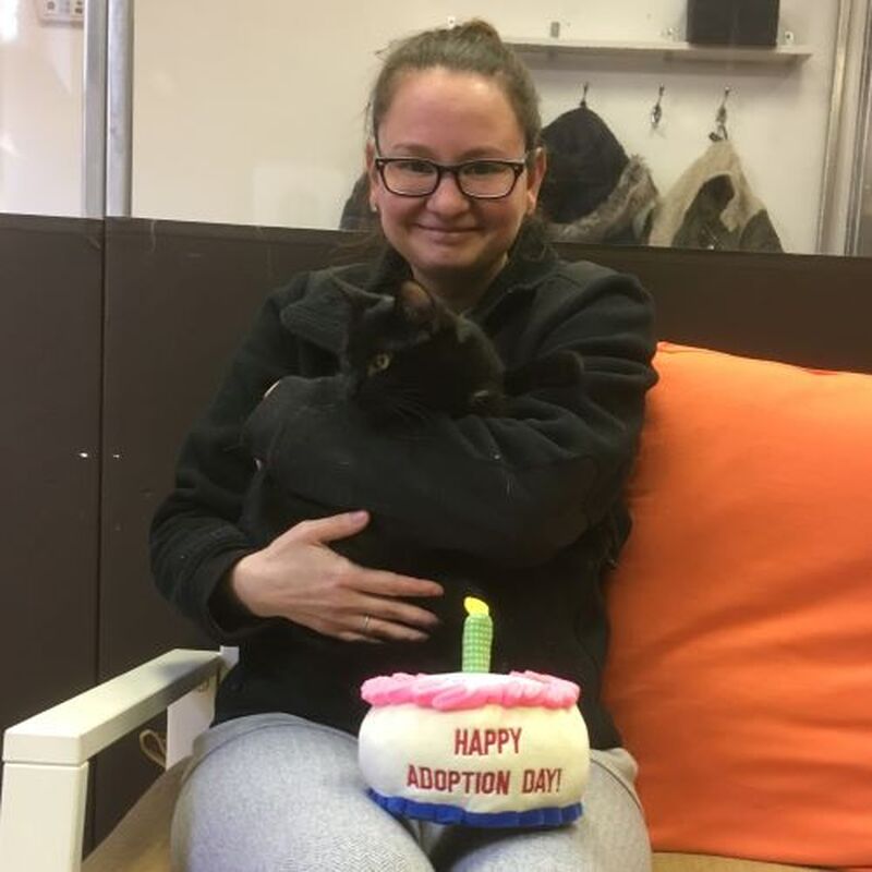 Adoption #141: Lucky