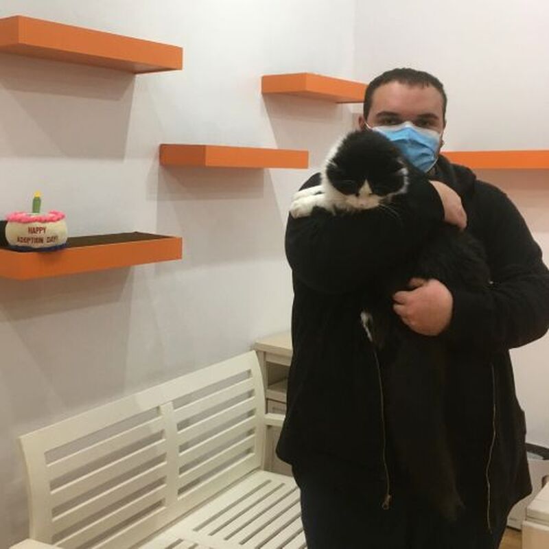 Adoption #203: Luis