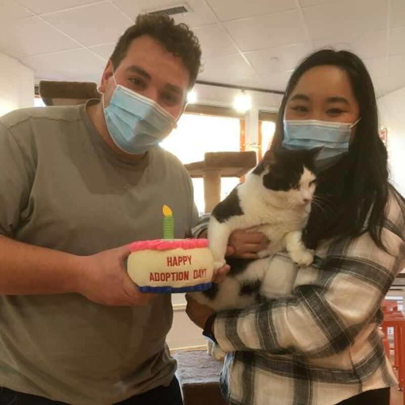 Adoption #223: Maurice