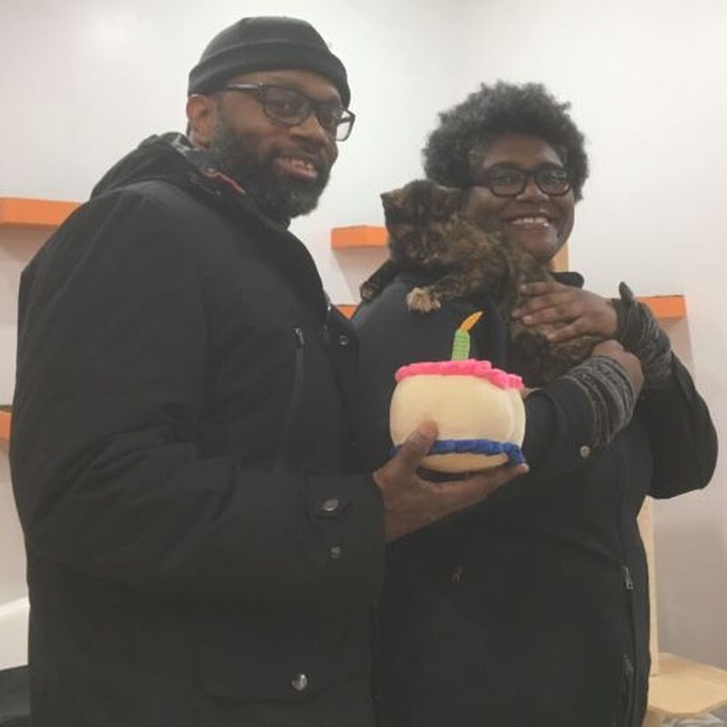 Adoption #103: Melody