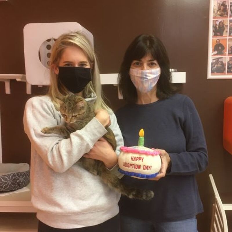 Adoption #186: Mercedes
