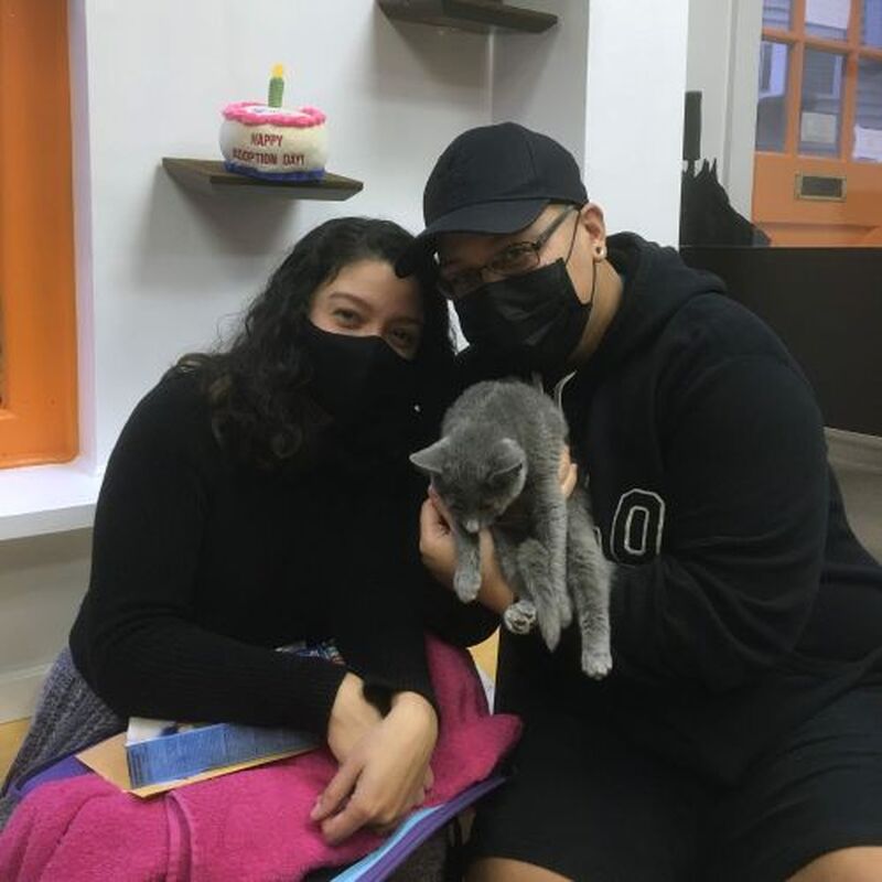 Adoption #192: Merrick