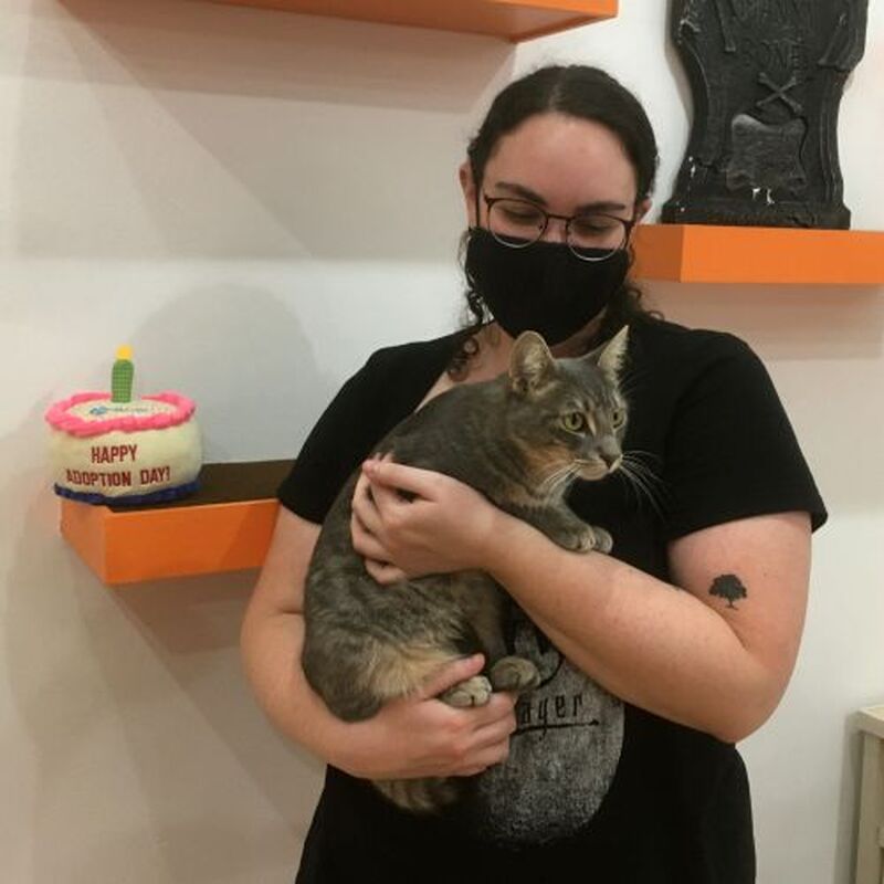 Adoption #191: Mira